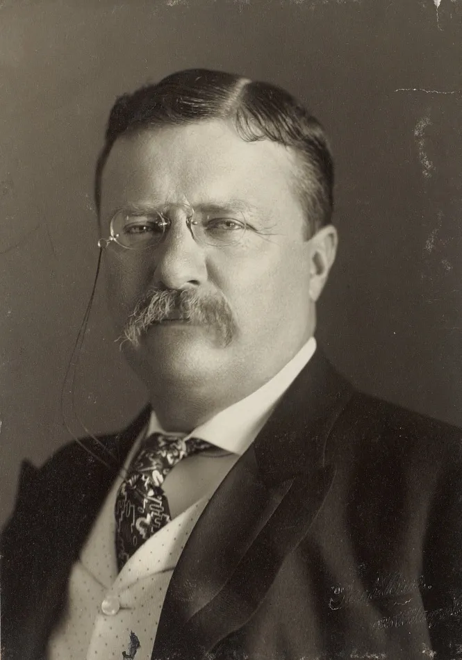 Portrait photograph of President Theodore Roosevelt, 1904, by Pach Bros.